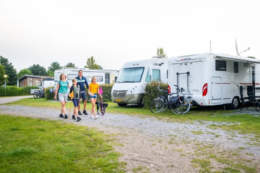 Camperplaats Weergors Veld IJsvogel