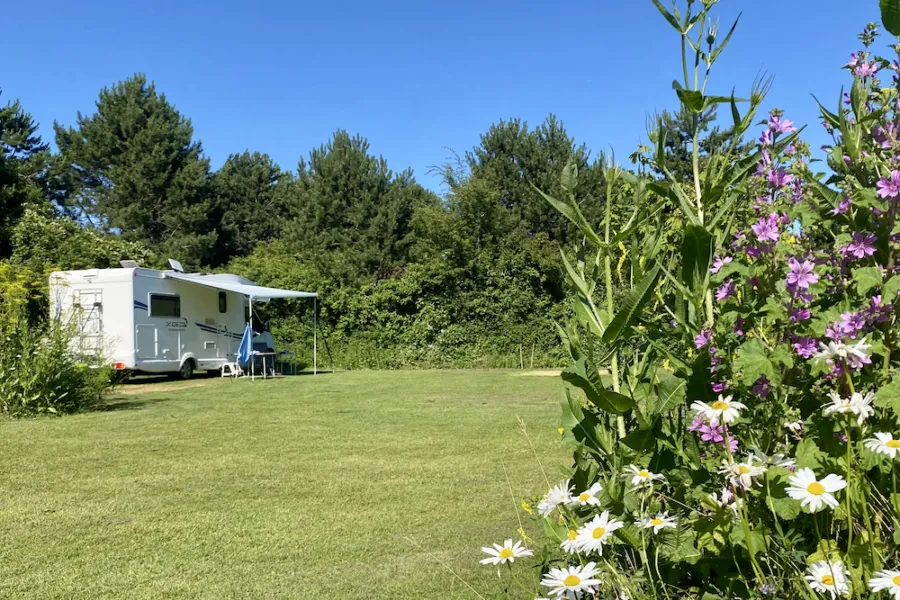 Weidevogels Kampeerplaats Camping t Weergors25