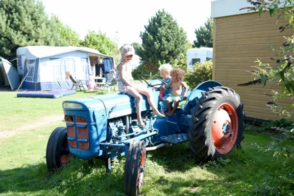 Veld Lijster Kamperen op t Weergors 2