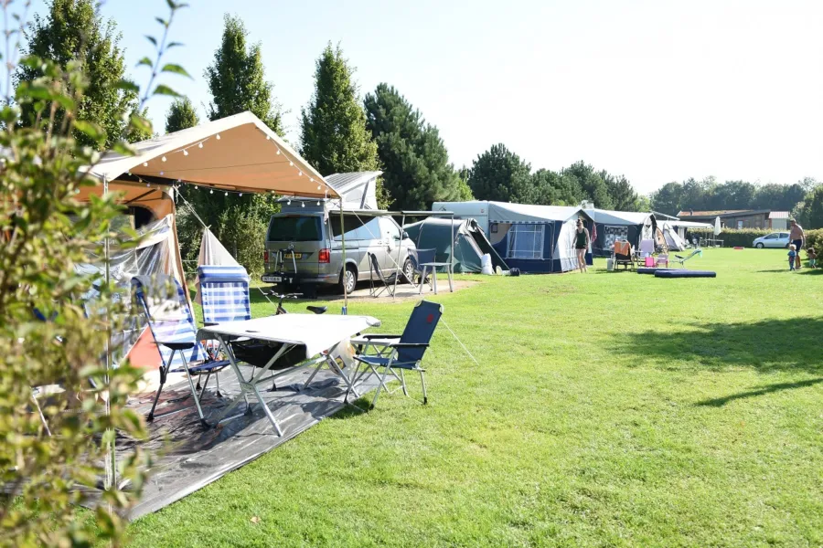 Veld Lijster Kamperen t Weergors Hellevoetsluis 2