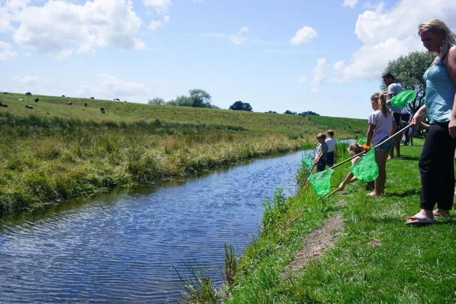 Waterdiertjes Weergors 2020 3