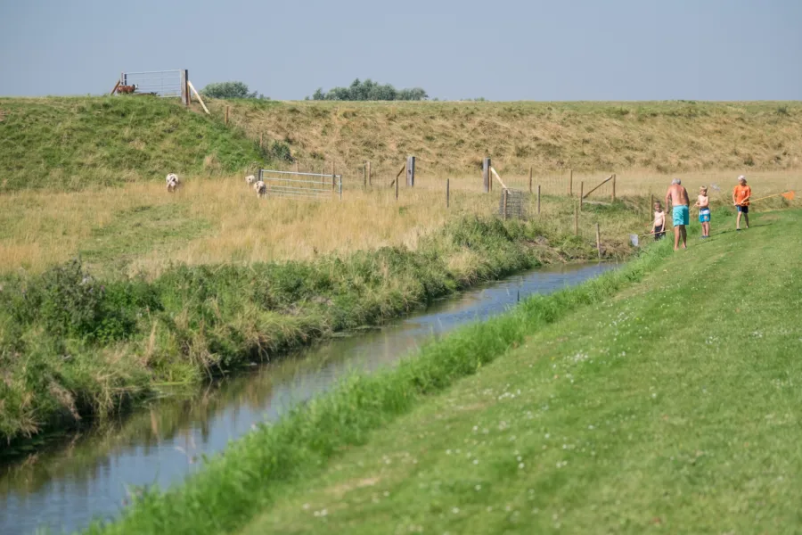 Slootjes bij de Zuiddijk weergors