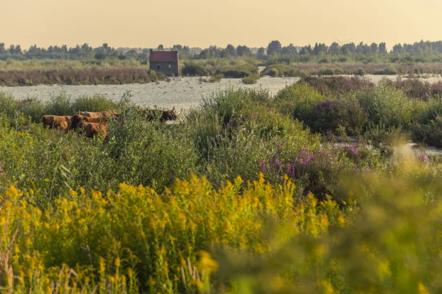 Natuurmonumenten Rene Koster 4500x3002 NAMO117220