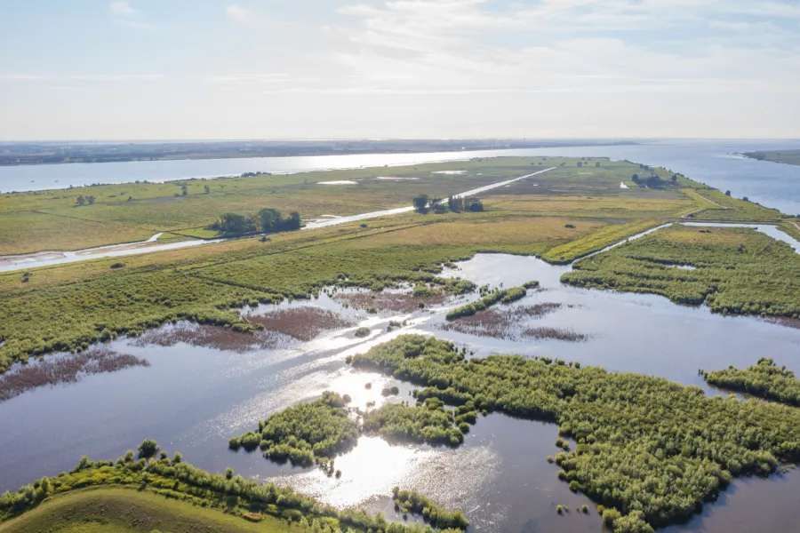 Natuurmonumenten Rogier Bos 5464x3640 NAMO115378