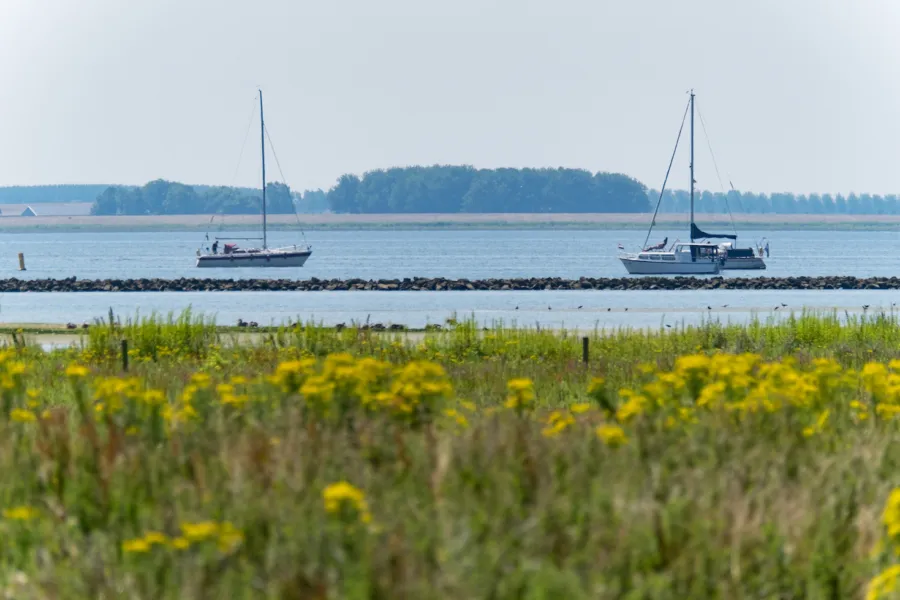 Haringvliet voorne weergors