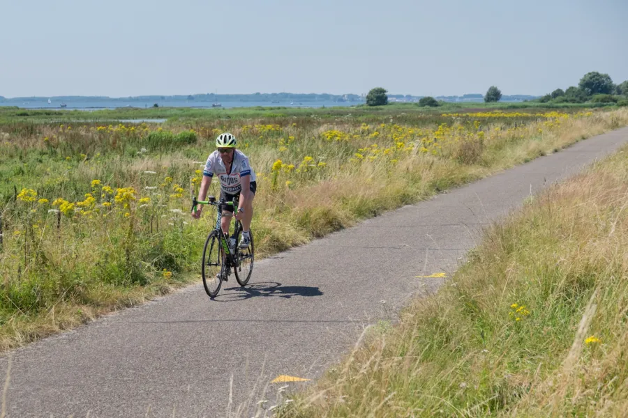 Wielrennen Weergors Voorne