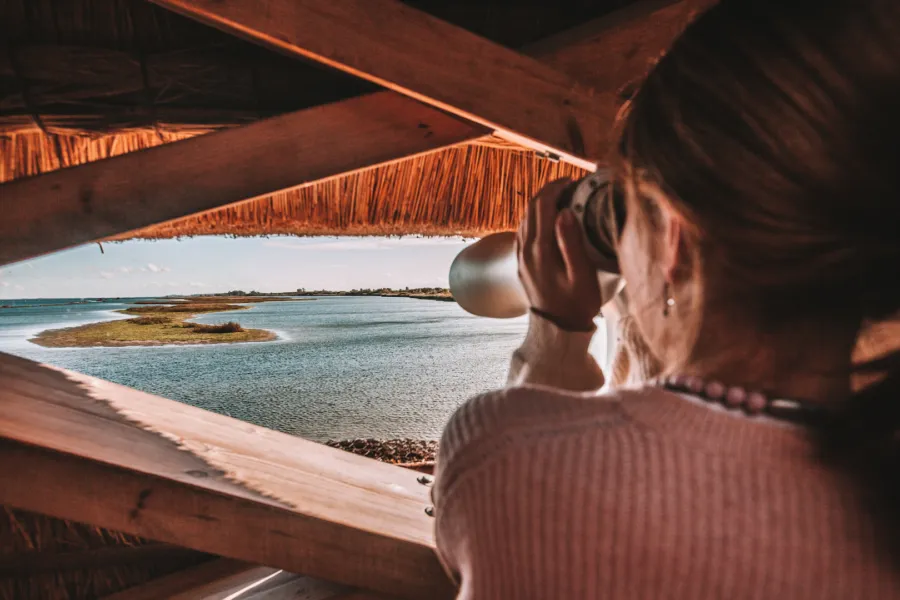 Vogelobservatorium-Tij-Stellendam-Camping-t-Weergors.jpg