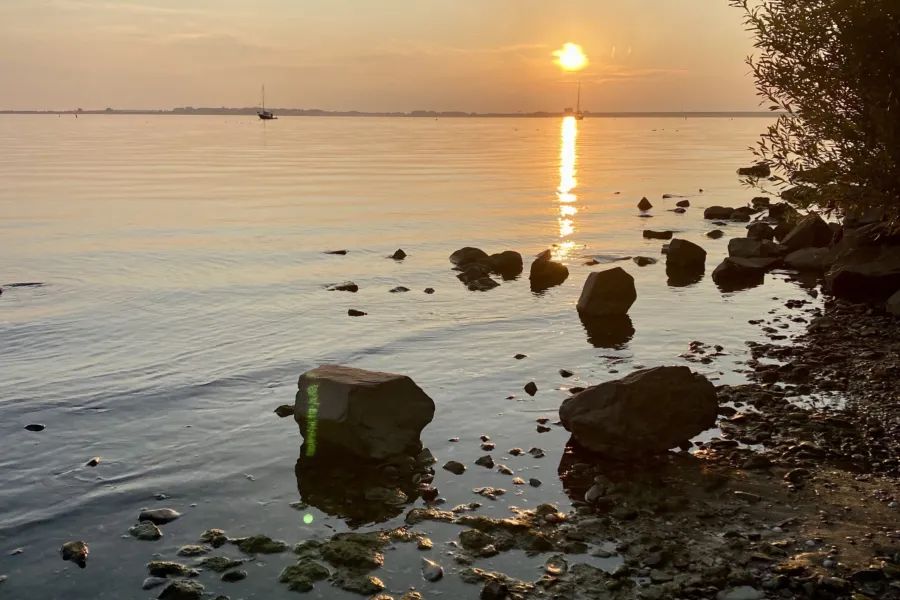 Wilde strandje Schenkeldijk Hellevoetsluis